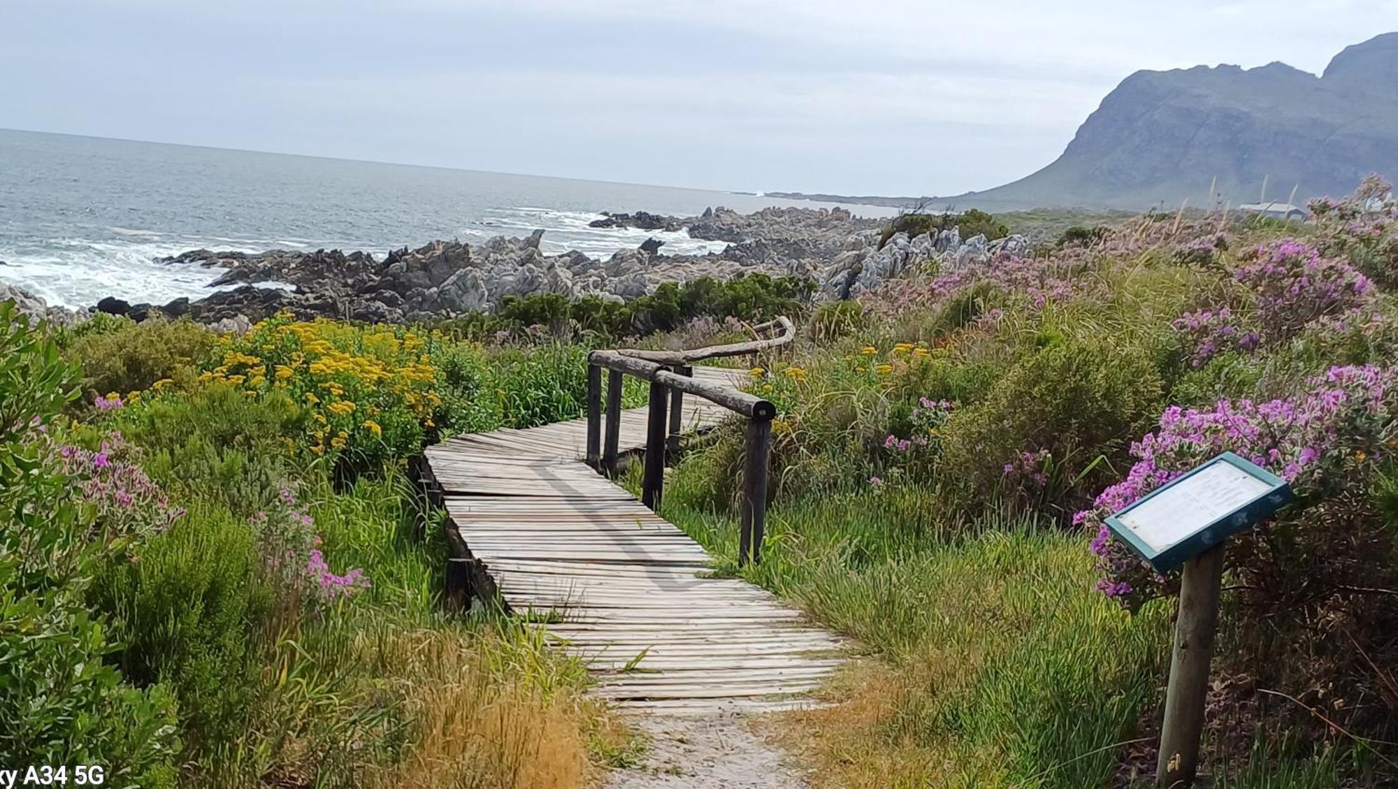 Kleinmond Panorama Self-catering Apartments Exterior foto